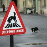 Самые Интересные Экспонаты Эрмитажа